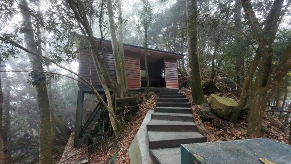 台中 鳶嘴稍來山O繞+稍來神木2989456