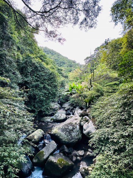 坪頂古圳2335216