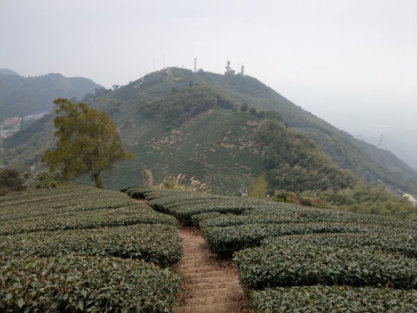 梨子腳山(小百岳#57) & 太平雲梯 (2021/1/29)1423189