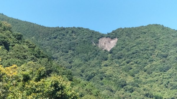 烏來大桶山腳下洦洦山澗、幽幽秘徑2542099