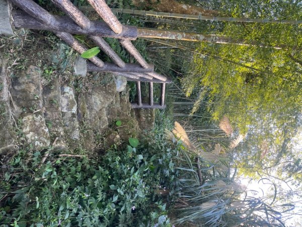 雲嘉五連峰2735901