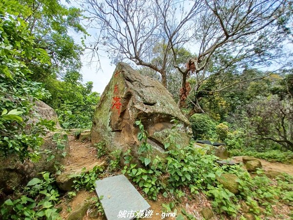 【台中北屯】走步道洗塵心。 No42小百岳南觀音山x青春嶺2196469