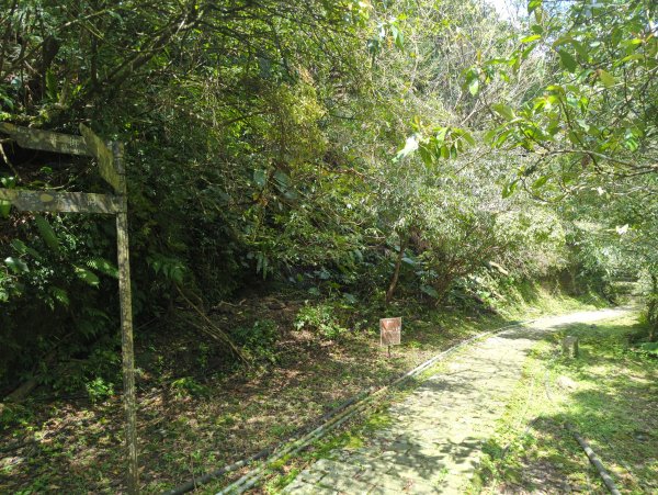 2026.03.14－微笑山線：【五分山系】3015437