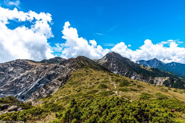 南湖大山賞花行336883