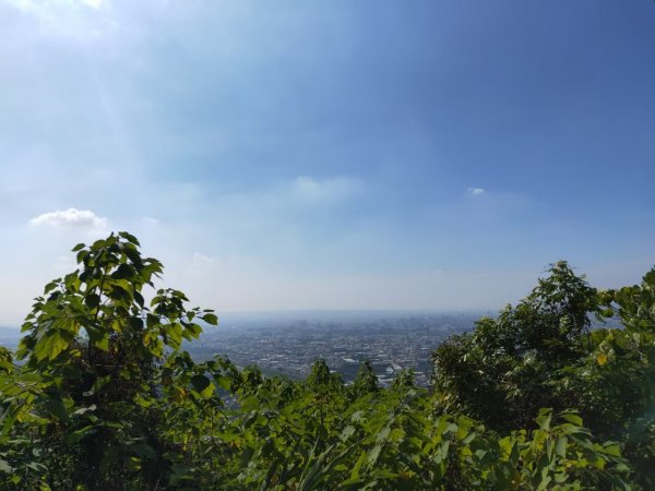 小百岳(43)-三汀山-20200123~【2020全家總動員~28分之03】1716064