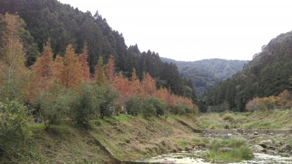 季節限定旅人的夢幻體驗 〜 杉林溪467389