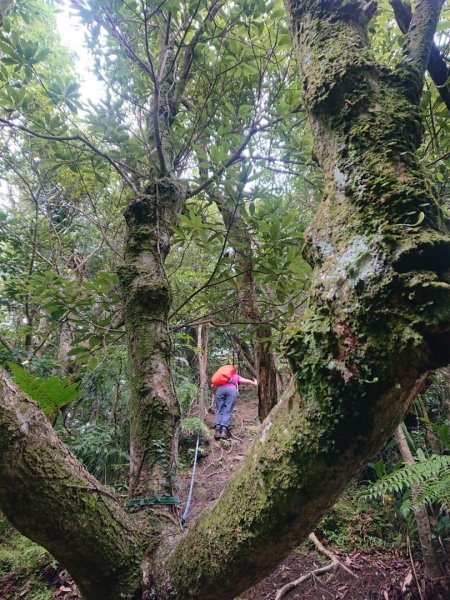 畝畝山、青林山、石古井、石硿子瀑布、石硿子古道O走1492831