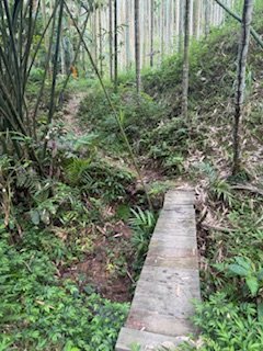 20250517 建安+鳥嘴+雙港子群峰 O型2788288