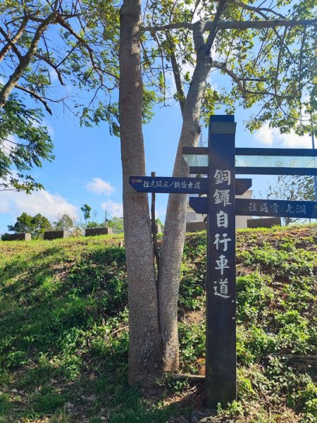 三義三通嶺-銅鑼杭菊（古道巡禮類環島小探險近25K）2957954