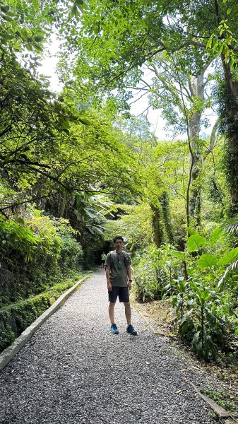 我の夏日健行~天母古道→翠峰瀑布2221098