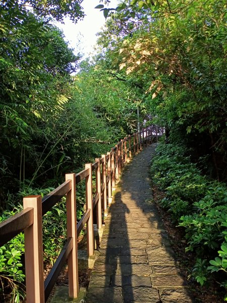 《山青水綠的碧湖公園登山、環湖步道》1435114