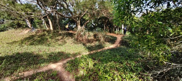 2025/10/19_大北坑休閒農區+福人登山步道2920833