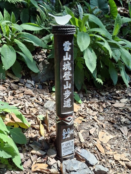 《台中》巨人之手｜雪山坑環線步道202603223021476