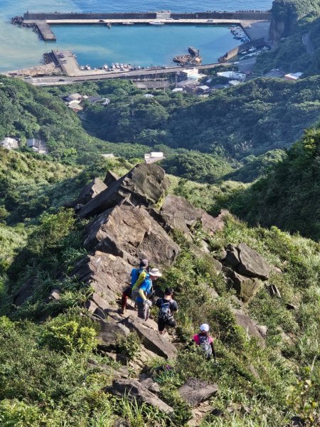 新北 瑞芳 無言的山丘2788518