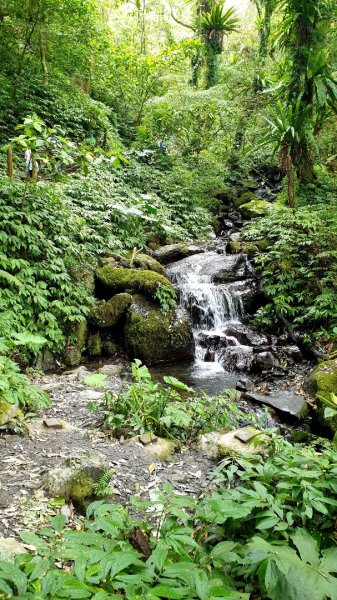 聖母登山步道926825