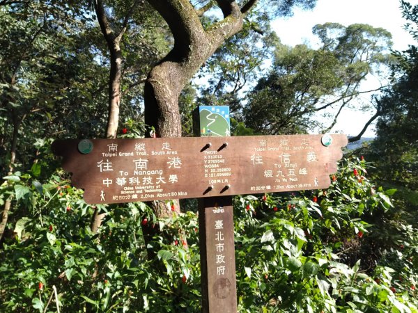 【臺北大縱走第六段】中華科大至麟光站完成1254981