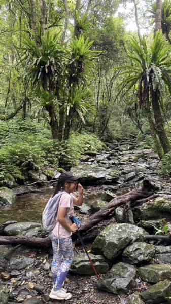 20250708 四堵古道2837763