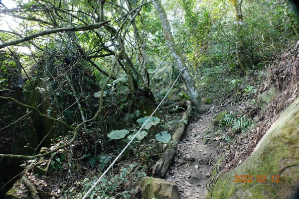 臺中 太平 暗影山1608979