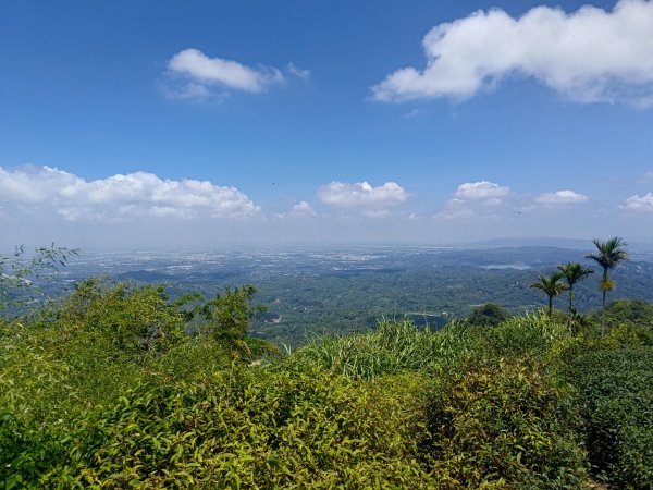 華山4-2號步道上雲嘉連峰2579364