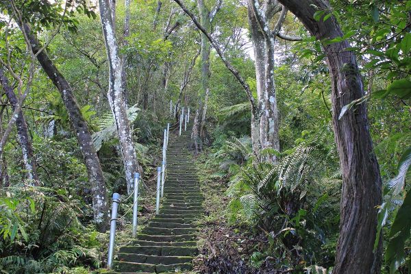 土城天上山步道267867