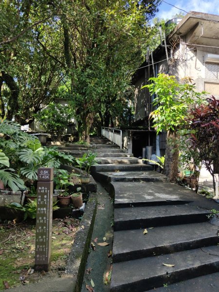 2023.12.14 紅淡山2826452