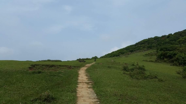 【春夏之際】陽明山東西大縱走17205