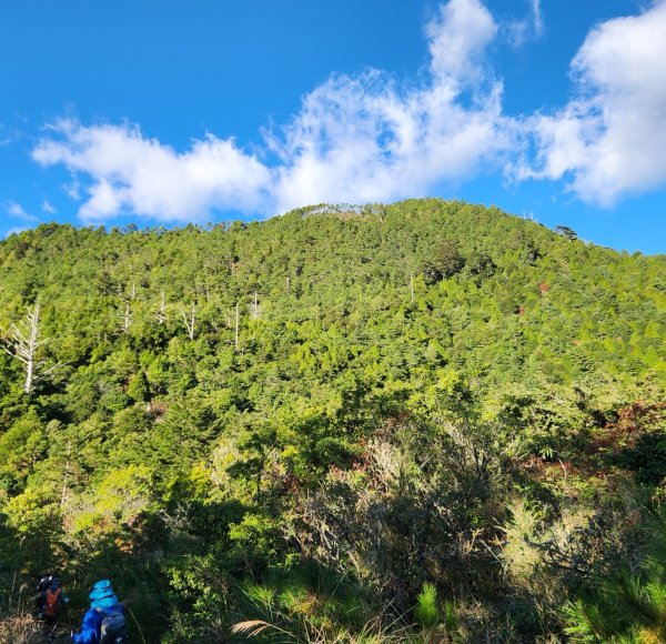 【中級山縱走】羅馬縱走，走進神木的夢幻童話森林世界2943180