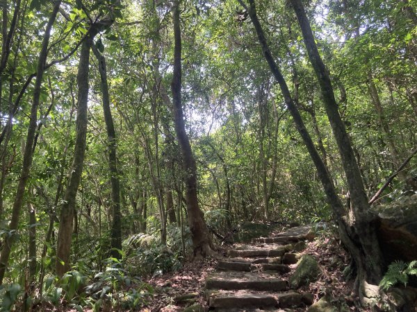 2022.07.31 【臺北大縱走第四段】大湖公園-風櫃嘴：圓覺寺瀑布、白石湖吊橋、碧山、梅花山1799347