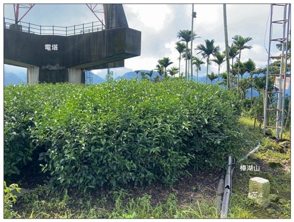 樟湖山 右上左下 (雲林、古坑)2846315