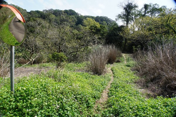 新竹 峨嵋 猿山、六寮山、玖玖山、獅頭山、獅尾山3012139