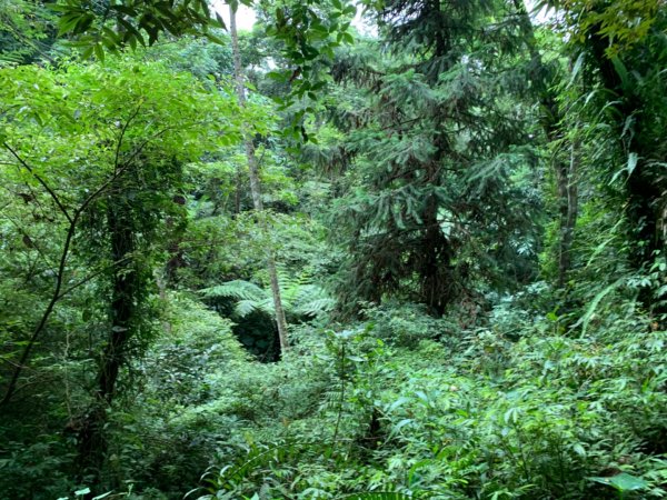 大湖馬拉邦山（小百岳）1065685