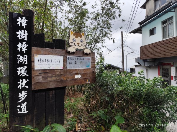 【臺北大縱走 7】3-3 相思炭窯→樟樹步道→彩雲亭→樟山寺→飛龍步道→政大校園→市府轉運站2654579