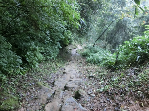 二格山（草湳Ｏ型）93188