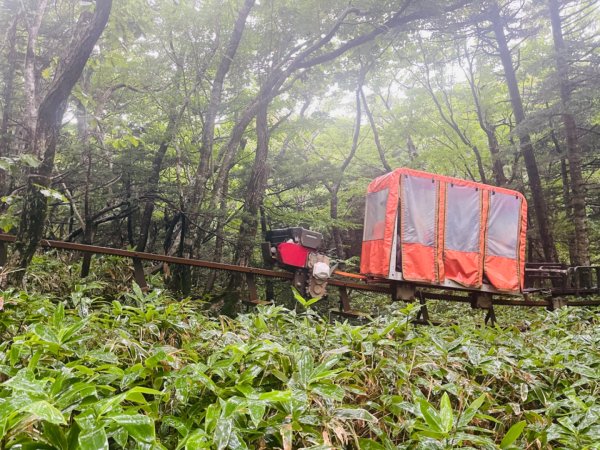 1140811 KR 漢拏山杜鵑花田避難所-紗羅岳觀景臺2860447