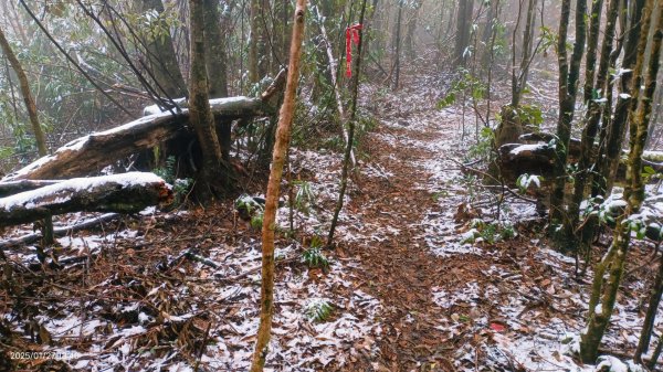 我的2025第一場雪，包場夫婦山，獨享差強人意的雪景&雲海。1/272699855