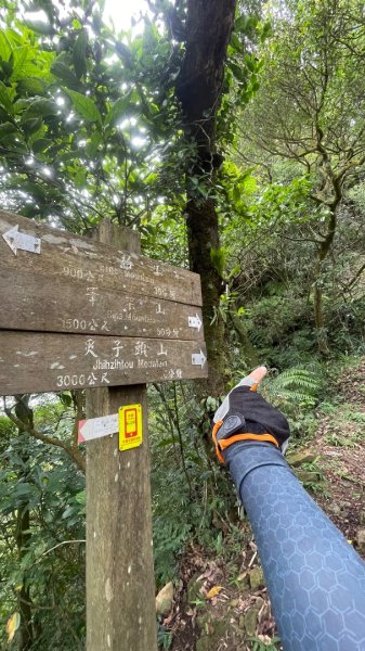 微笑山⛰️線-大棟-二格山-五分山-天上山-鳶山💎12條步道完成💙2834170