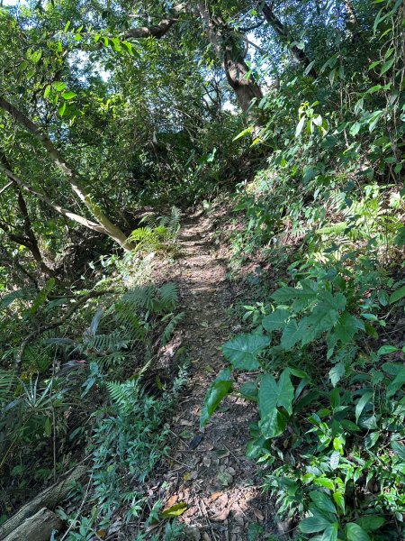 圓山水神社上劍潭山2263351