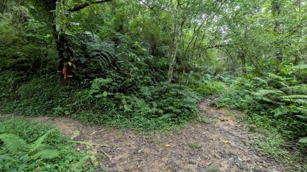 114.06.14雙石縱走&石門水庫-石牛山之旅2812270