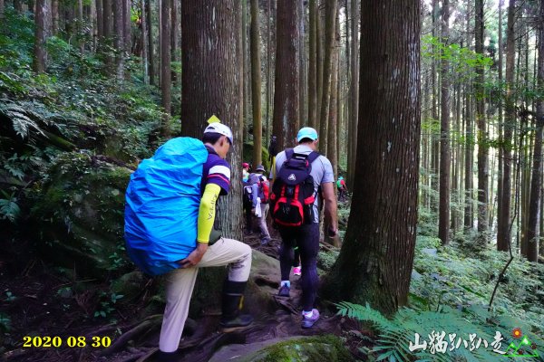 加里山~山貓趴趴走1084684