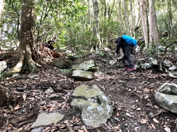 八仙山駐在所環走八仙山1251647