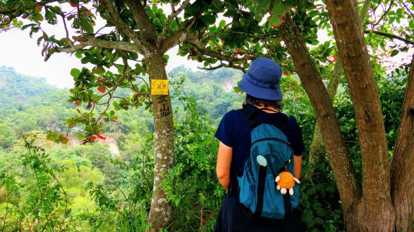 大社觀音山2954784