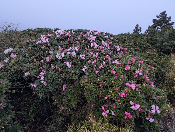 合歡山主峰3048407