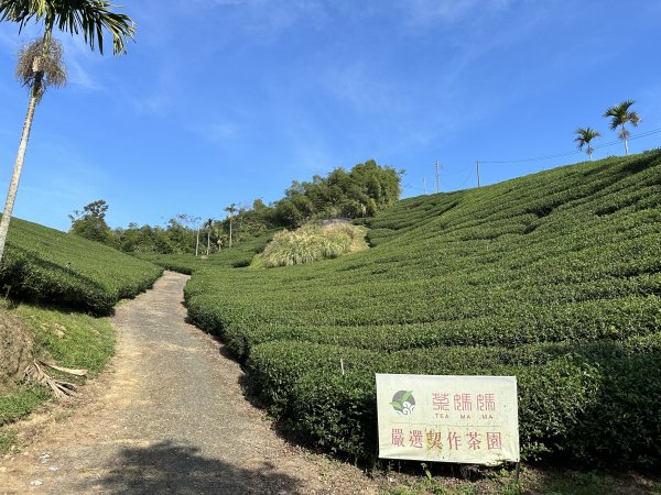 雲嘉十八連峰1932598