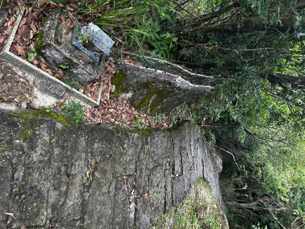 內湖鯉魚山之旅2811724