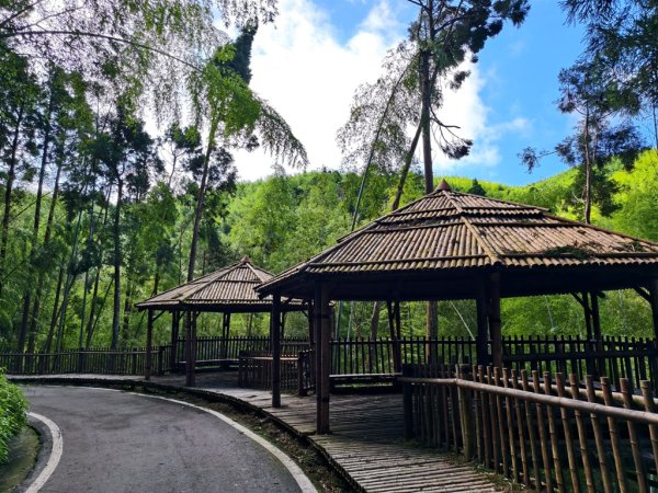 【石壁】五元二角連走木馬古道O繞2871555