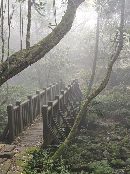 2026-0323 台北大縱走第一段3022624