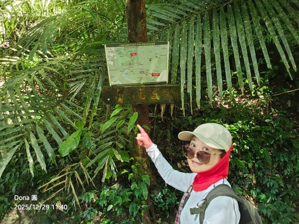20251229石龜坑山上白石山下白石埤O走+阿姆坪2976688