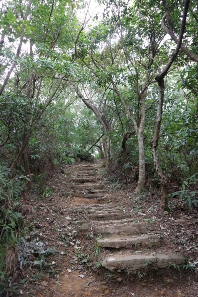 〔內湖〕文間山，劍南蝶園，劍潭古寺，婆婆橋 鄭成功廟步道2249270