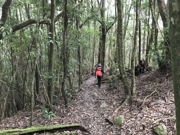 大雪山林道上屋我尾山163386