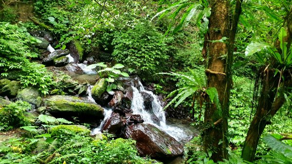 抹茶山，聖母登山步道，隆隆山，福卯古道，水柳腳登山步道，觀音台步道，北勢溪自行車道1742238